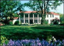 Charlottesville Wedding In March in Charlottesville, VA, USA