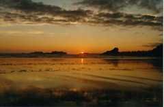 Tofino/ Ucluelet, Vancouver Island - Other Destinations - Tofino, BC V0R, Tofino, British Columbia, CA