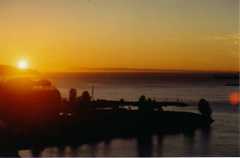 Celebration of Light - Attraction - 