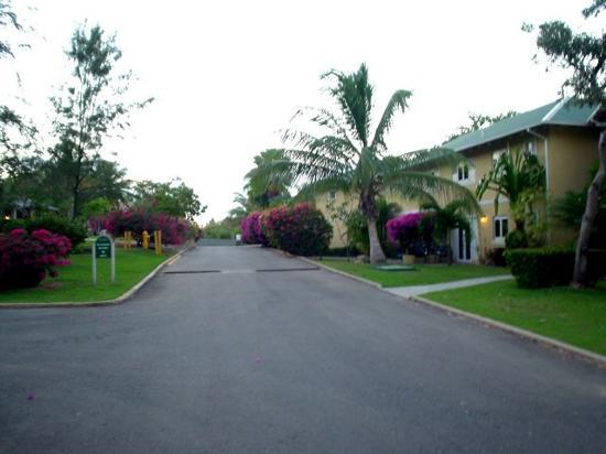 Villa Montana Beach Resort - Hotels/Accommodations, Reception Sites - Isabela, PR, 00662, US Villa Montana Beach Resort - Hotels/Accommodations, Reception Sites - Isabela, PR, 00662, US