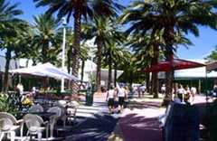 Lincoln Rd.  - Attraction - Lincoln Rd, Miami Beach, FL, US