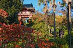 Japanese Tea Garden - Attraction - 7 Hagiwara Tea Garden Dr, San Francisco, CA, United States Japanese Tea Garden - Attraction - 7 Hagiwara Tea Garden Dr, San Francisco, CA, United States