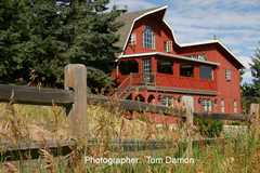 Evergreen Wedding In September in Evergreen, CO, USA Evergreen Wedding In September in Evergreen, CO, USA