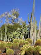 Huntington Library & Botanical Gardens - Attraction - 1151 Oxford Rd, San Marino, CA, 91108, US