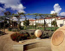 Hyatt Vineyard - Santa Rosa - Hyatt Vineyard  - Santa Rosa, CA, US