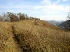 Hike up Barn Bluff - Hike - 
