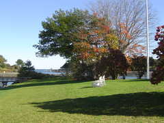 Leland and Pamela's Wedding