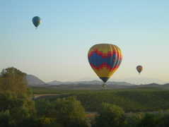 Southern California Wine Country - Attraction - Temecula, CA Southern California Wine Country - Attraction - Temecula, CA