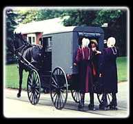 Aaron & Jessica's Buggy Rides - Attraction - United States Aaron & Jessica's Buggy Rides - Attraction - United States