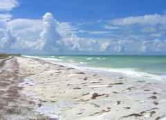 Clearwater Wedding In June in Honeymoon Island, FL, USA