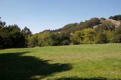 Family Picnic & Klezmer Rave - Reception - South Park Drive Family Picnic & Klezmer Rave - Reception - South Park Drive