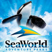 Sea World - Attractions - Sea World, San Diego, CA, US Sea World - Attractions - Sea World, San Diego, CA, US