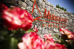 Paso Robles Wedding In June in Paso Robles, CA, USA Paso Robles Wedding In June in Paso Robles, CA, USA