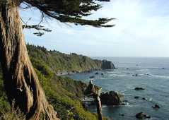 Patrick's Point - Camping - Patricks Point, CA 95570, Patricks Point, CA, US