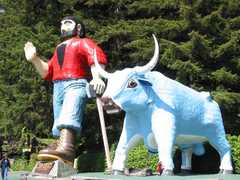 Trees of Mystery - Outside Fun - 15500 US Highway 101 N, Klamath, CA, United States