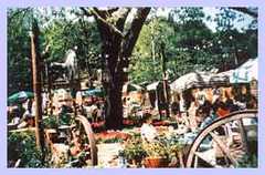Shady Grove Cafe - Restaurant - 1624 Barton Springs Rd, Austin, TX, United States