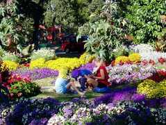 Beacon Hill Park - Attraction - 311 Vancouver Street, Victoria, BC, Canada