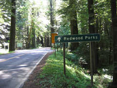 Humboldt Redwoods State Park - Outside Fun - Uninc Humboldt County, California, United States