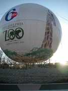 Philadelphia Zoo - Attraction - 3400 W Girard Ave, Philadelphia, PA, United States