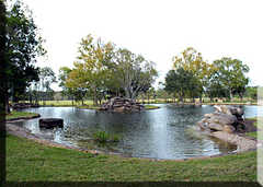 Cypress Wedding In April in Cypress, TX, USA