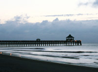 Folly Beach - Attraction - W Arctic Ave, Charleston, SC, 29412, US
