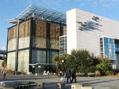 South Carolina Aquarium - Attraction - 100 Aquarium Wharf, Charleston, South Carolina, 29401
