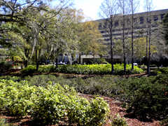 Lake Buena Vista Fl Wedding In October in Champions Gate, FL, USA Lake Buena Vista Fl Wedding In October in Champions Gate, FL, USA