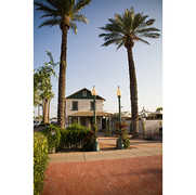 Mesa Wedding In October in Mesa, AZ, USA