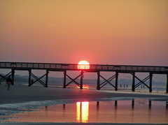 Isle of Palms - Attraction - Isle of Palms, SC, Isle of Palms, South Carolina, US