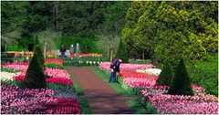 Longwood Gardens - Gardens - 1001 Longwood Rd, Kennett Square, PA, United States