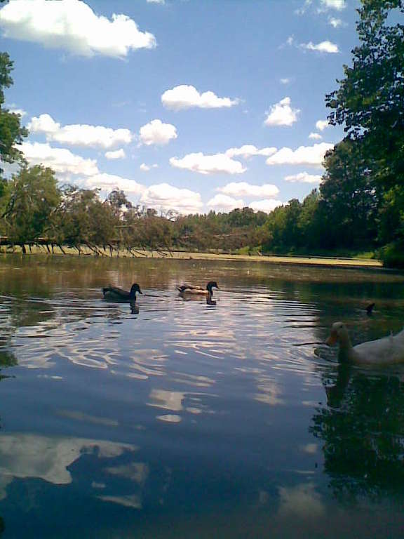 Unnamed - Ceremony Sites - Old Dunbar Cave Rd, Clarksville, TN, 37043 Unnamed - Ceremony Sites - Old Dunbar Cave Rd, Clarksville, TN, 37043