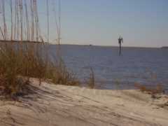 St Andrews Beach - Scenic area - St Andrews Beach - Scenic area -