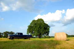Giddings Wedding In October in La Grange, Texas, USA
