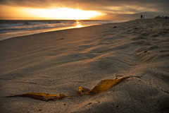 Zuma Beach - Beach - 6701 Westward Beach Rd, Malibu, CA, United States Zuma Beach - Beach - 6701 Westward Beach Rd, Malibu, CA, United States