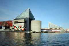 200784_s