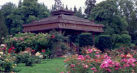 200833_l