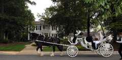 Mcdonough Wedding In June in Gay, GA, USA