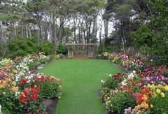 Albion Wedding In April in 3790 N. Hwy. 1, Albion, CA, 95410