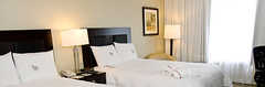 Inn at Chester Springs - Hotel - 815 Pottstown Pike, Exton, Pennsylvania, US Inn at Chester Springs - Hotel - 815 Pottstown Pike, Exton, Pennsylvania, US