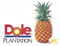 Dole Plantation - Attraction - 64-1550 Kamehameha Hwy, Wahiawa, HI, USA Dole Plantation - Attraction - 64-1550 Kamehameha Hwy, Wahiawa, HI, USA