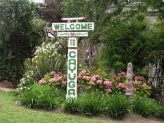 Cayuga Park - Recreation - Cayuga Ave, San Francisco, CA, 94112