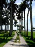 Wedding Ceremony & Reception - Ceremony & Reception - 16701 SW 72nd Ave, Miami, FL, 33157