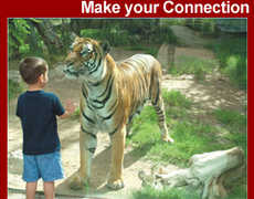 El Paso Zoo - Attraction - 4001 E Paisano Dr, El Paso, TX, United States El Paso Zoo - Attraction - 4001 E Paisano Dr, El Paso, TX, United States