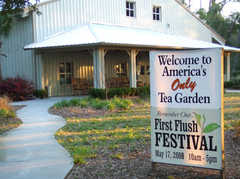 Tea Plantation - Attraction - 6617 Maybank Hwy, Wadmalaw Island, SC, 29487 Tea Plantation - Attraction - 6617 Maybank Hwy, Wadmalaw Island, SC, 29487