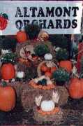 Altamont Orchards - Attraction - 6654 Dunnsville Rd, Altamont, NY, United States