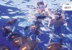 Private Chartered Snorkel Tour - Snorkel Tour - 76 Maalaea Rd, Wailuku, HI, 96793 Private Chartered Snorkel Tour - Snorkel Tour - 76 Maalaea Rd, Wailuku, HI, 96793