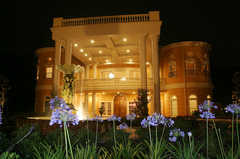 Houston Wedding In November in Houston, TX, USA Houston Wedding In November in Houston, TX, USA