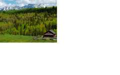 Telluride Wedding In August in Telluride, CO, USA