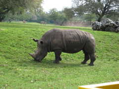 Busch Gardens - Attraction - 3000 E Busch Blvd, Tampa, FL, United States Busch Gardens - Attraction - 3000 E Busch Blvd, Tampa, FL, United States