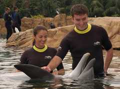 Discovery Cove - Attraction - 6000 Discovery Cove Way , Orlando, Florida, 32821, USA Discovery Cove - Attraction - 6000 Discovery Cove Way , Orlando, Florida, 32821, USA
